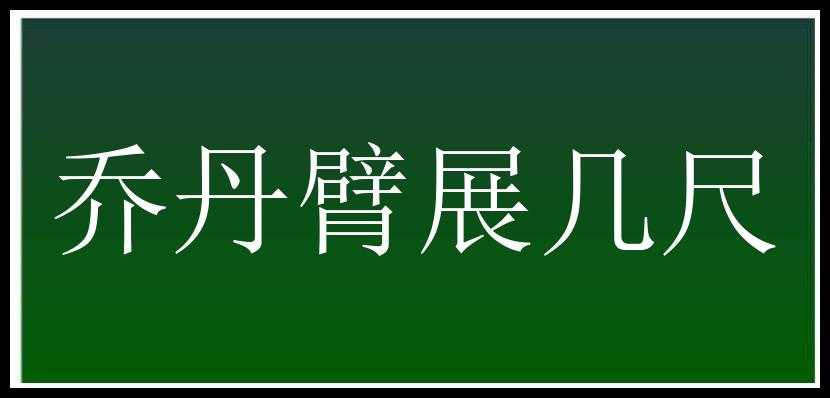 乔丹臂展几尺