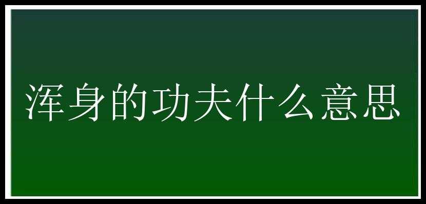 浑身的功夫什么意思