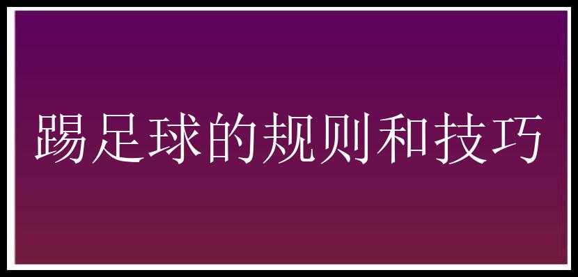 踢足球的规则和技巧