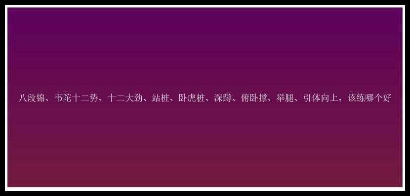 八段锦、韦陀十二势、十二大劲、站桩、卧虎桩、深蹲、俯卧撑、举腿、引体向上，该练哪个好