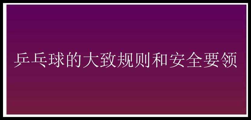 乒乓球的大致规则和安全要领