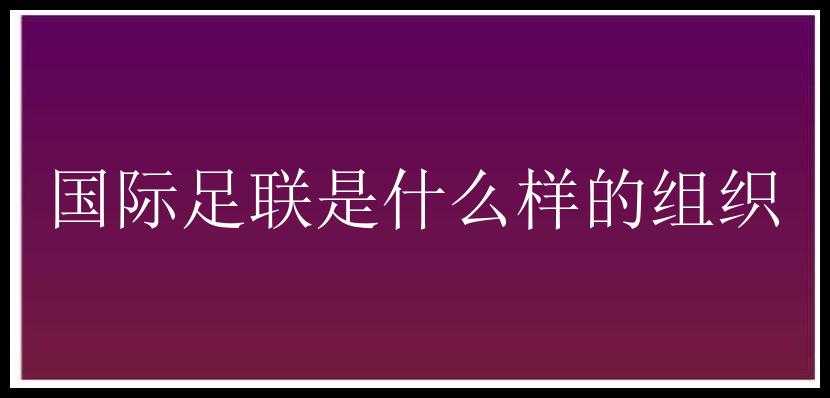 国际足联是什么样的组织