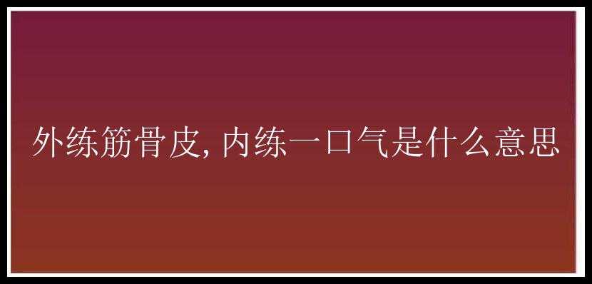 外练筋骨皮,内练一口气是什么意思