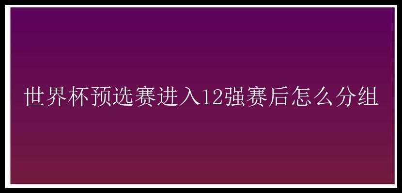 世界杯预选赛进入12强赛后怎么分组