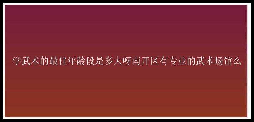 学武术的最佳年龄段是多大呀南开区有专业的武术场馆么