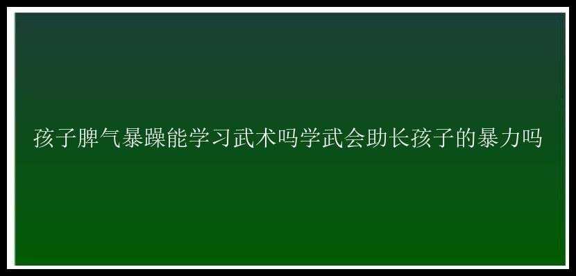 孩子脾气暴躁能学习武术吗学武会助长孩子的暴力吗