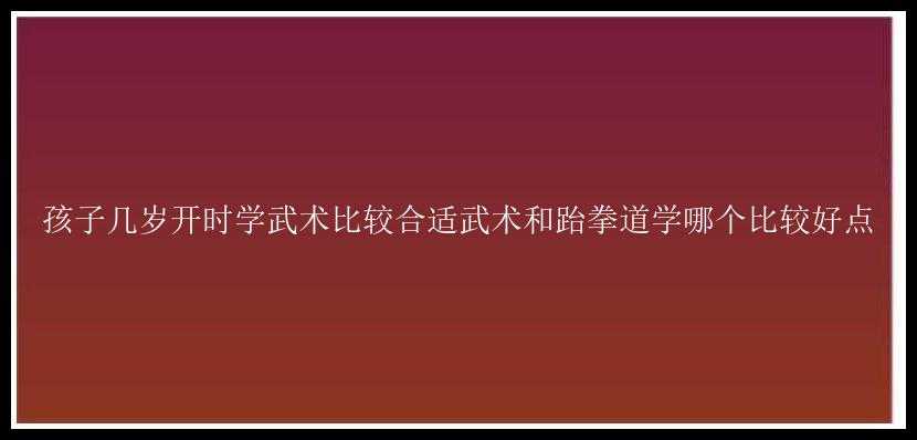 孩子几岁开时学武术比较合适武术和跆拳道学哪个比较好点