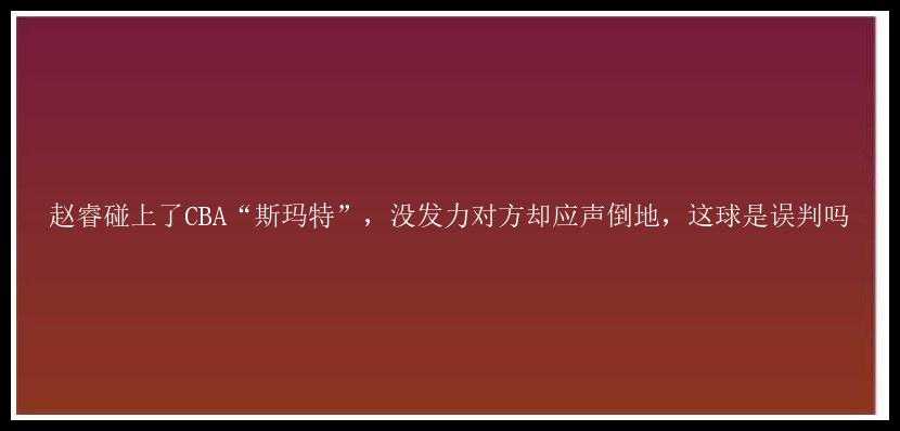 赵睿碰上了CBA“斯玛特”，没发力对方却应声倒地，这球是误判吗