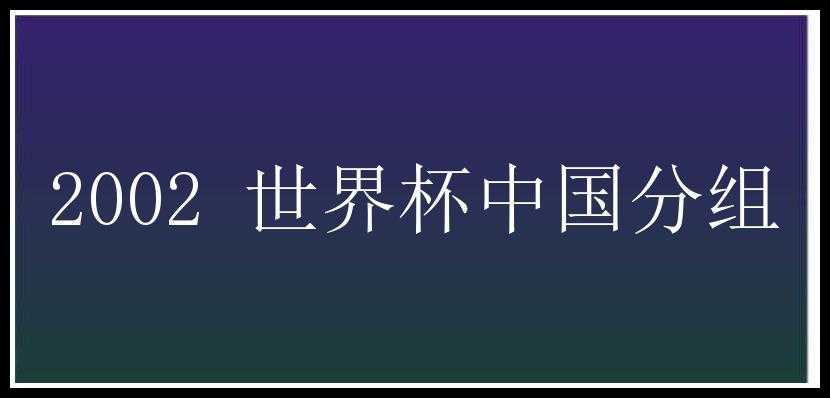 2002 世界杯中国分组