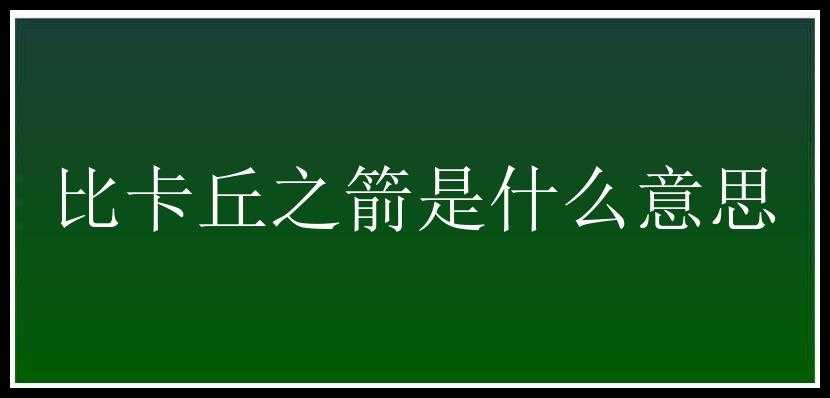 比卡丘之箭是什么意思