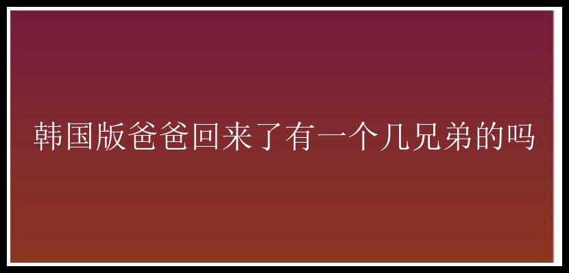 韩国版爸爸回来了有一个几兄弟的吗