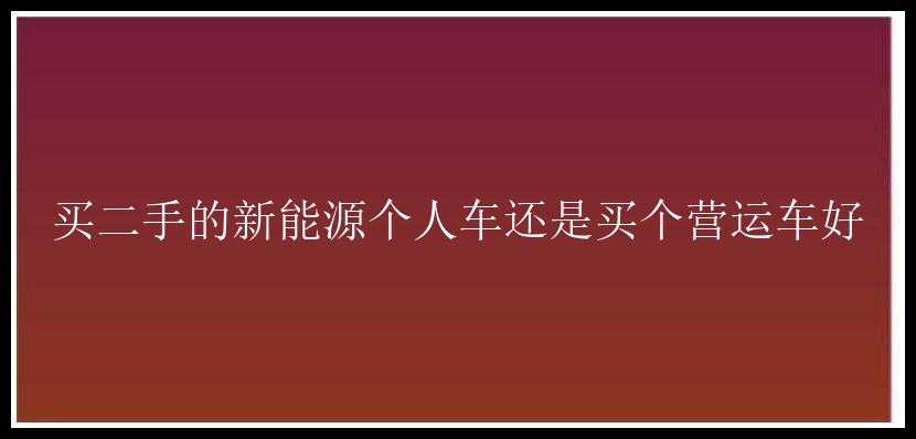 买二手的新能源个人车还是买个营运车好