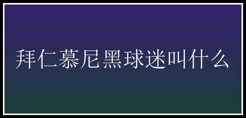 拜仁慕尼黑球迷叫什么