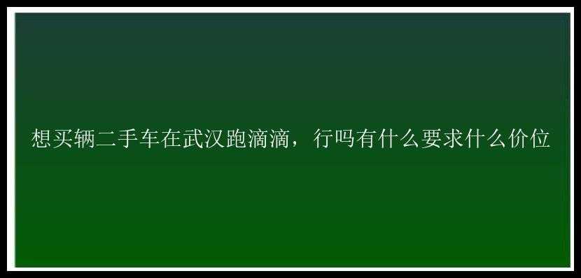 想买辆二手车在武汉跑滴滴，行吗有什么要求什么价位