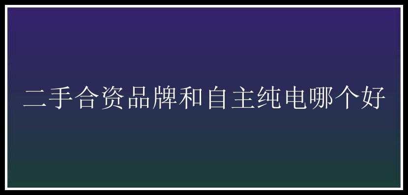 二手合资品牌和自主纯电哪个好