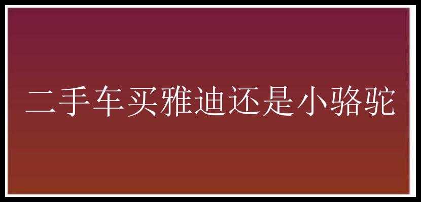 二手车买雅迪还是小骆驼