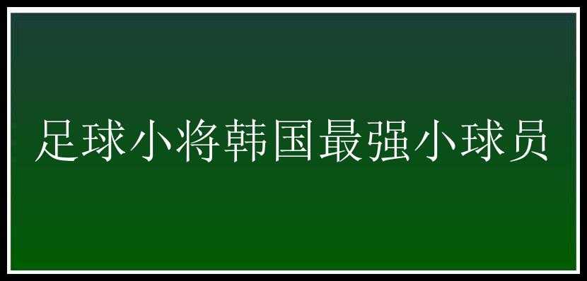 足球小将韩国最强小球员