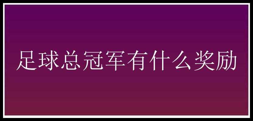 足球总冠军有什么奖励