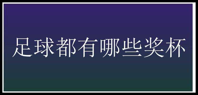 足球都有哪些奖杯