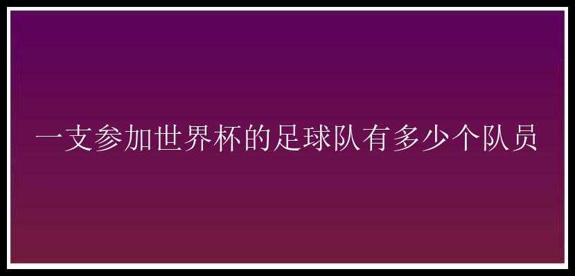 一支参加世界杯的足球队有多少个队员