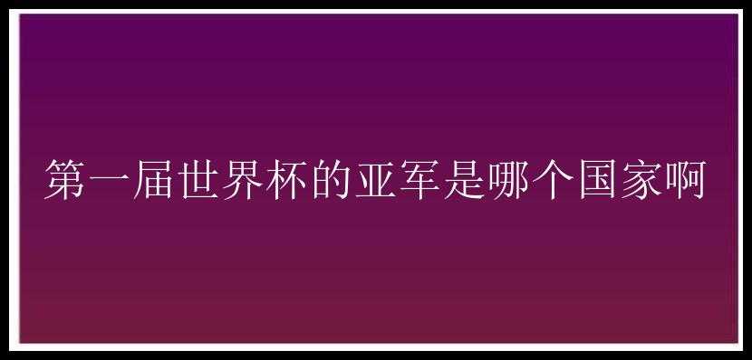 第一届世界杯的亚军是哪个国家啊