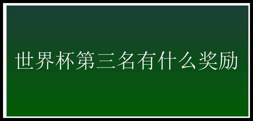 世界杯第三名有什么奖励