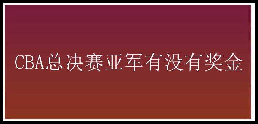 CBA总决赛亚军有没有奖金