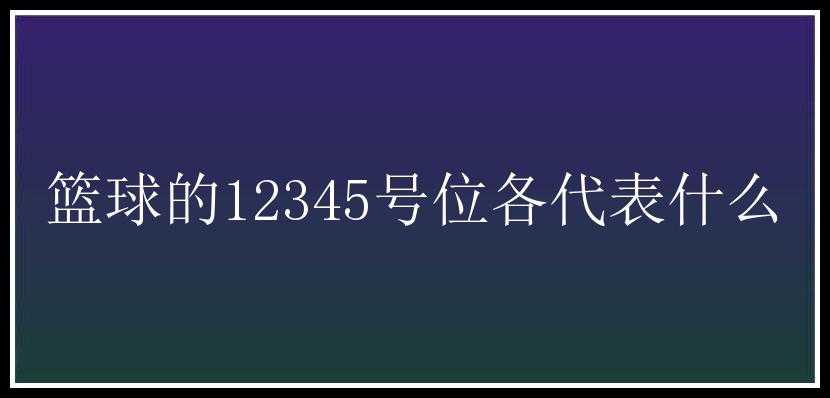 篮球的12345号位各代表什么