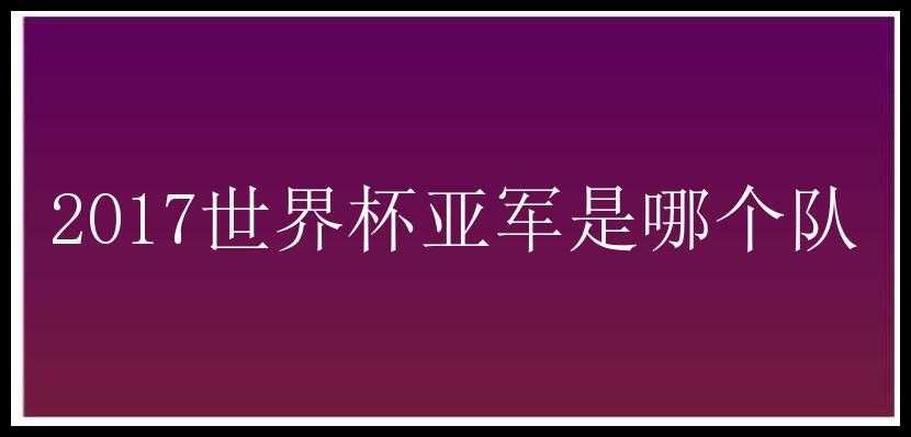 2017世界杯亚军是哪个队