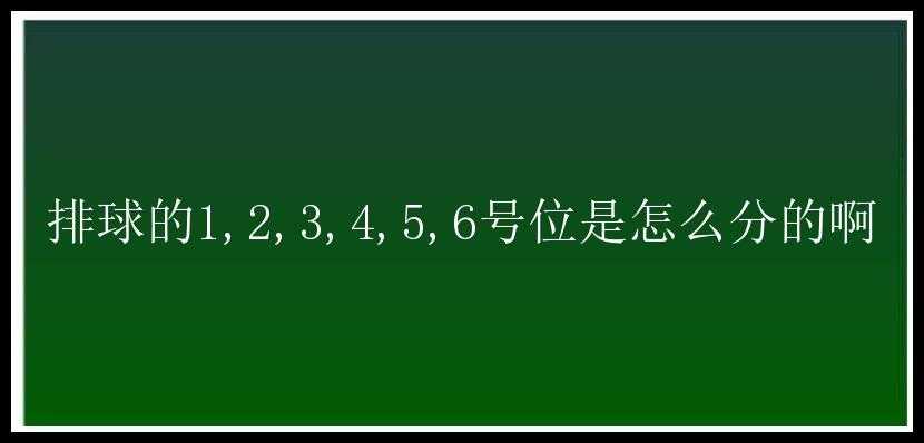 排球的1,2,3,4,5,6号位是怎么分的啊