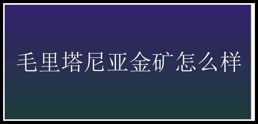 毛里塔尼亚金矿怎么样