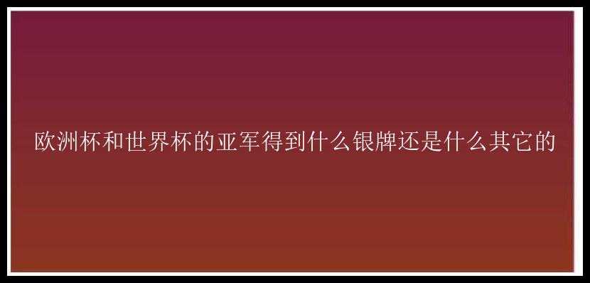 欧洲杯和世界杯的亚军得到什么银牌还是什么其它的