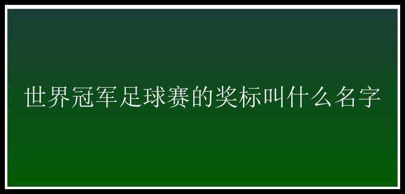 世界冠军足球赛的奖标叫什么名字