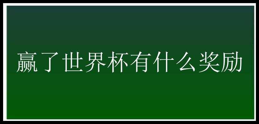 赢了世界杯有什么奖励