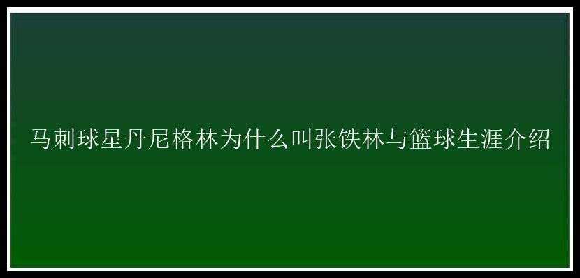 马刺球星丹尼格林为什么叫张铁林与篮球生涯介绍