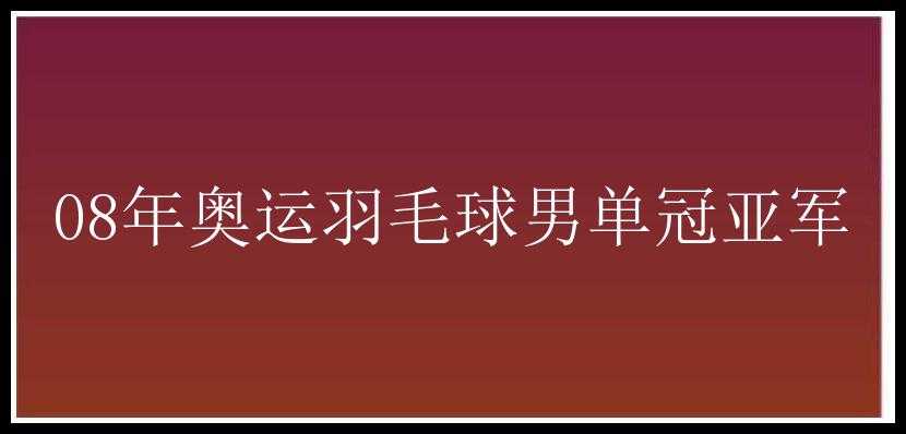 08年奥运羽毛球男单冠亚军