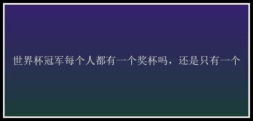 世界杯冠军每个人都有一个奖杯吗，还是只有一个