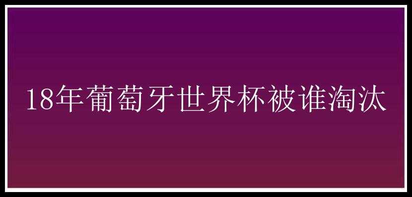 18年葡萄牙世界杯被谁淘汰