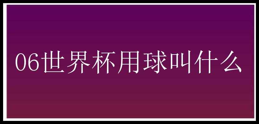 06世界杯用球叫什么