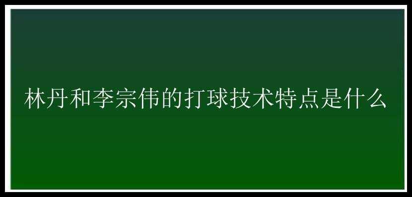 林丹和李宗伟的打球技术特点是什么