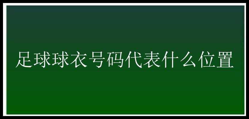 足球球衣号码代表什么位置