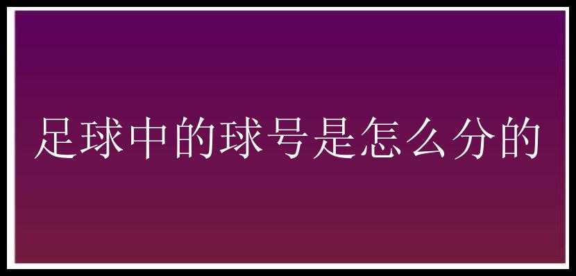 足球中的球号是怎么分的