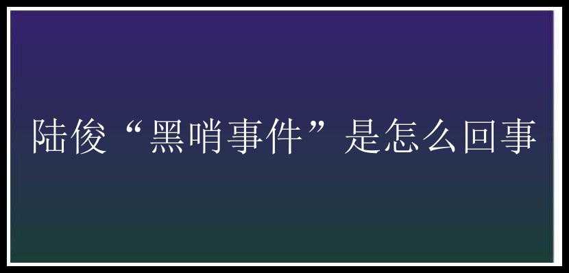 陆俊“黑哨事件”是怎么回事