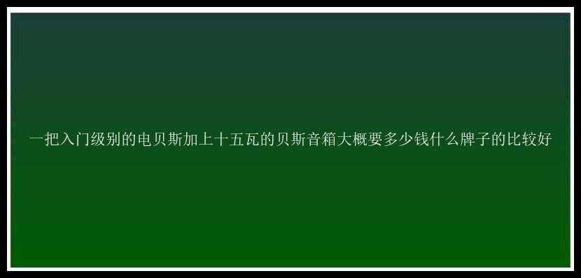 一把入门级别的电贝斯加上十五瓦的贝斯音箱大概要多少钱什么牌子的比较好