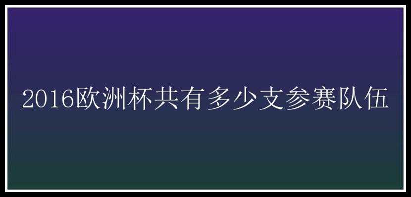 2016欧洲杯共有多少支参赛队伍