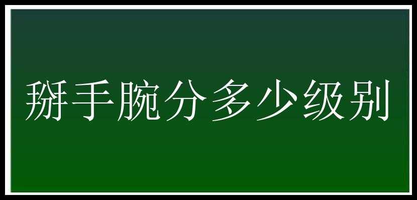 掰手腕分多少级别