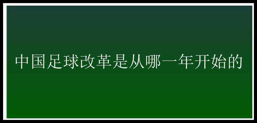 中国足球改革是从哪一年开始的