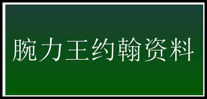 腕力王约翰资料