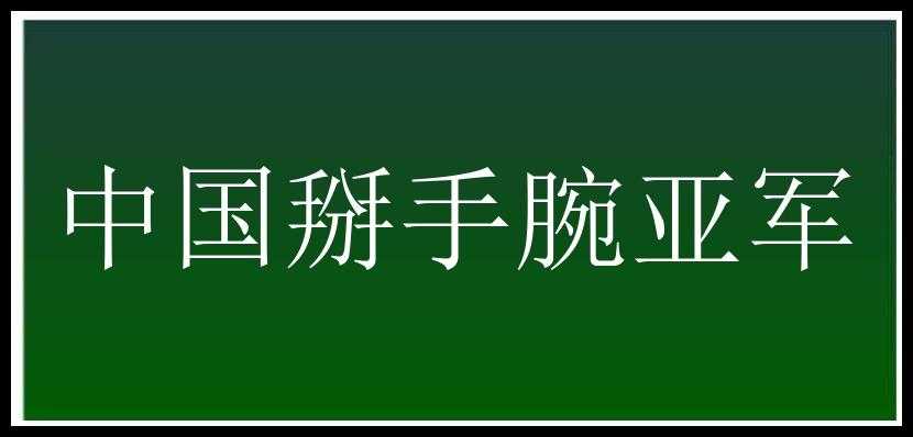 中国掰手腕亚军