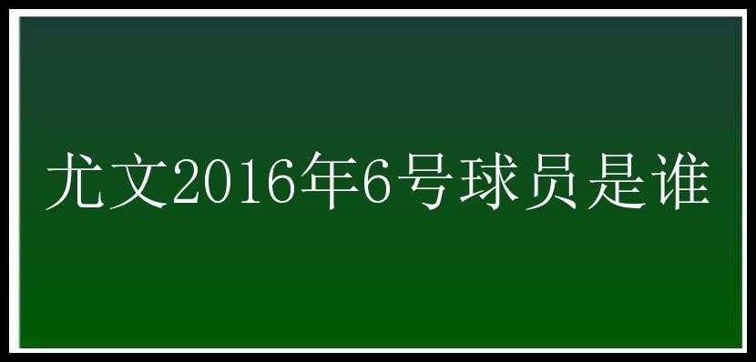 尤文2016年6号球员是谁